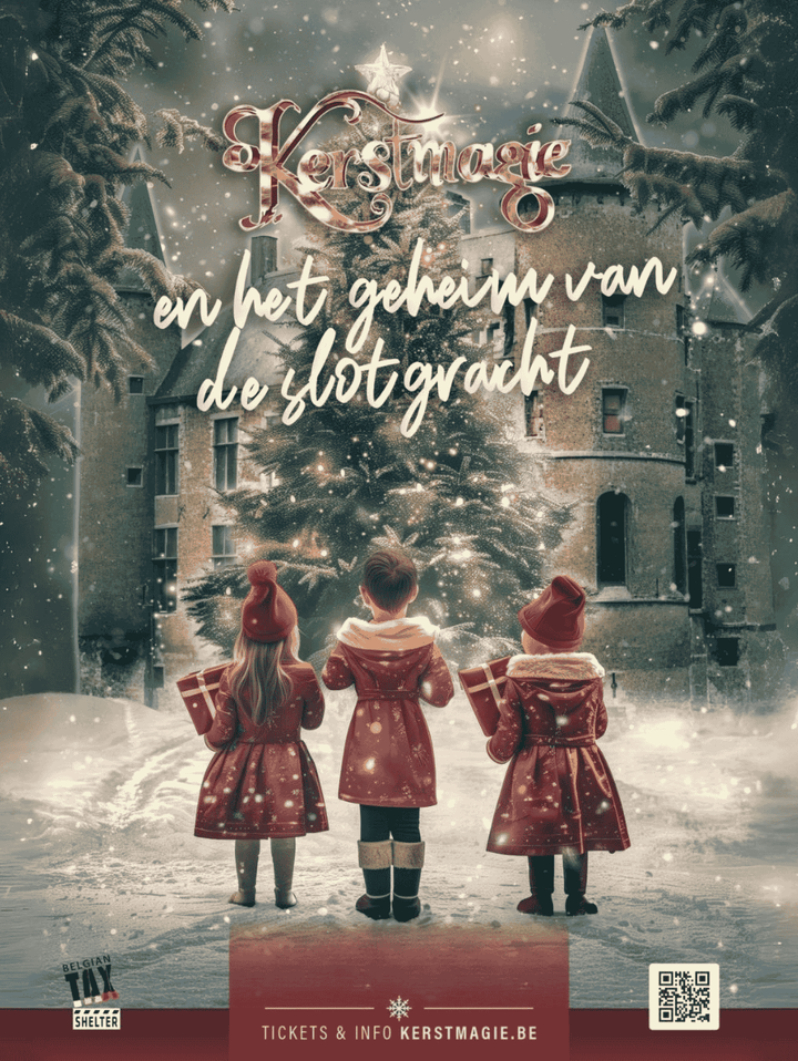Ticket voor Kerstmagie in 6 Betoverende Kastelen