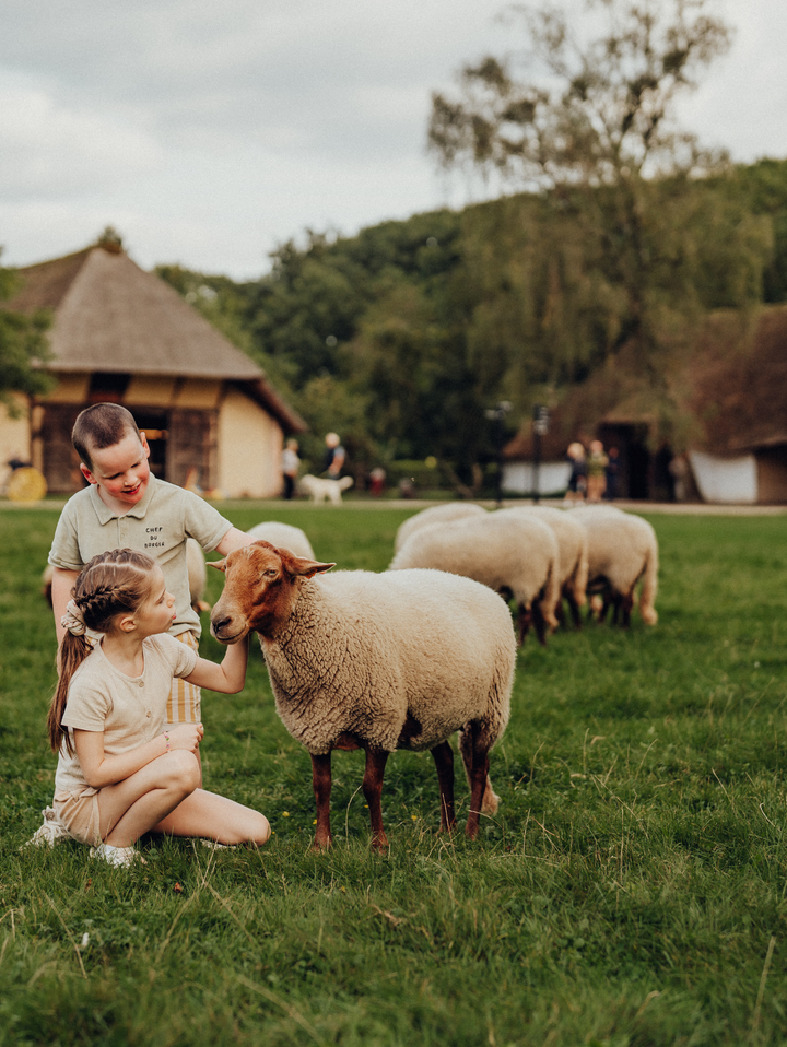 Ticket voor het Openluchtmuseum van Bokrijk