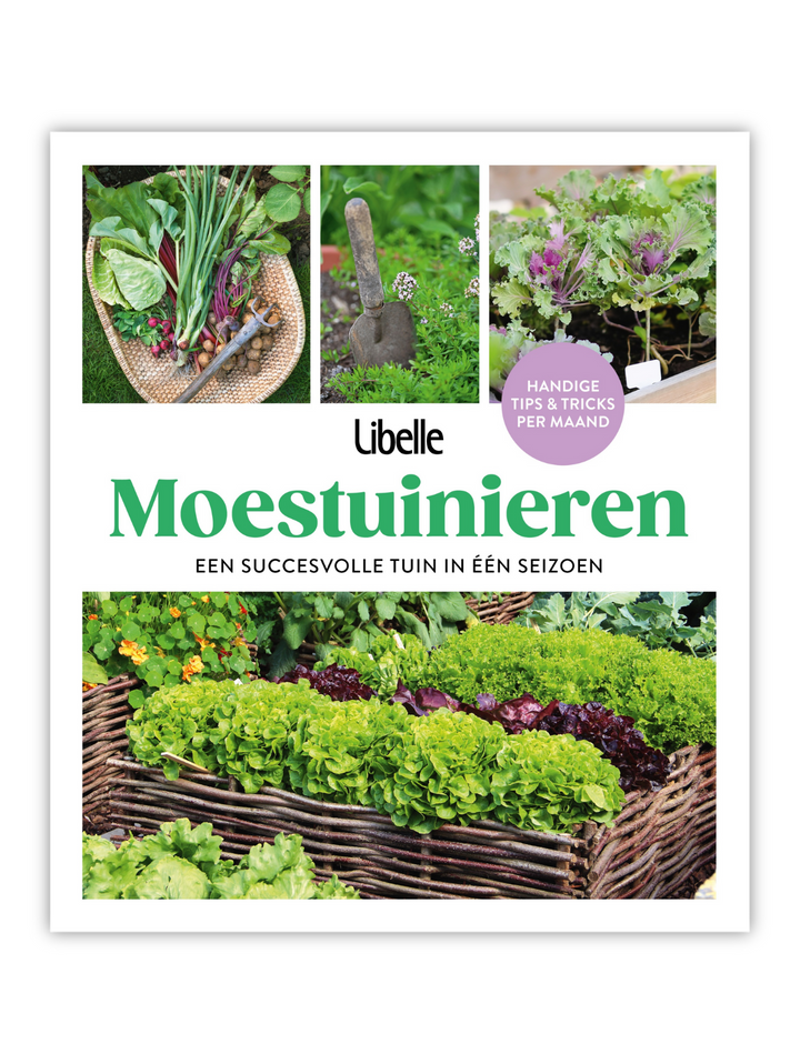 Bookzine 'Moestuinieren'