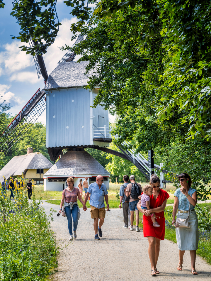 Ticket voor het Openluchtmuseum van Bokrijk