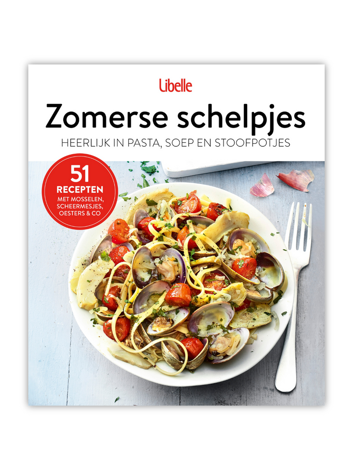 Bookzine 'Zomerse schelpjes'